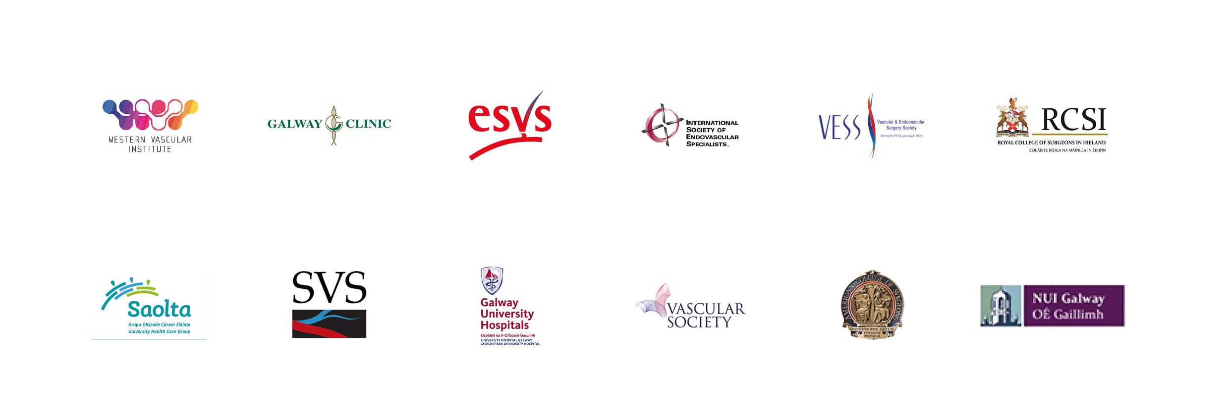 Logos of the Western Vascular Institute, Galway Clinic, European Society for Vascular Surgery, International Society of Endovascular Specialists, Vascular and Endovascular Surgery Society, Royal College of Surgeons in Ireland, Saolta University Health Care Group, Society for Vascular Surgery, Galway University Hospitals, Vascular Society, and NUI Galway